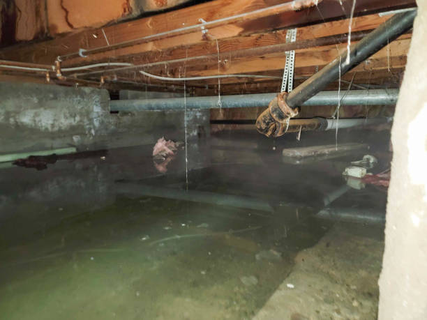 Best Sewage cleanup and water damage restoration  in Hartford, SD