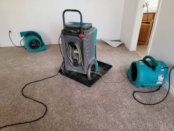 Best Water damage repair service  in Hartford, SD