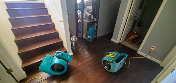 Best Water damage restoration mold remediation  in Hartford, SD