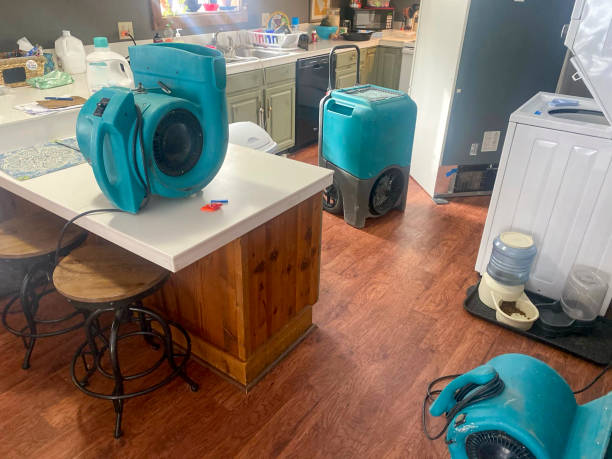 Water damage restoration mold remediation in SD