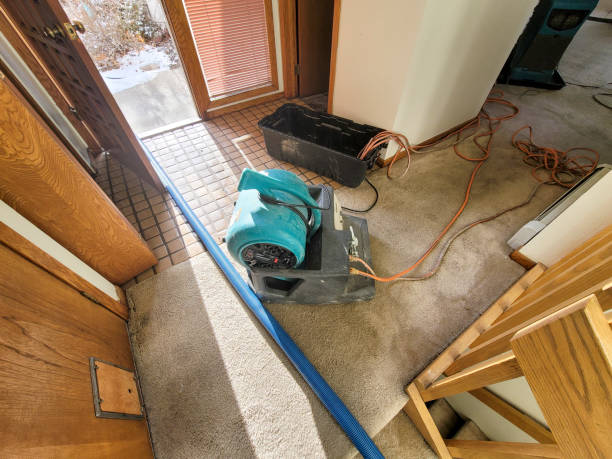Best Flood restoration services  in Hartford, SD