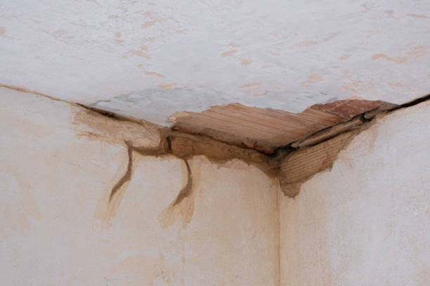 Best Ceiling water damage repair  in Hartford, SD
