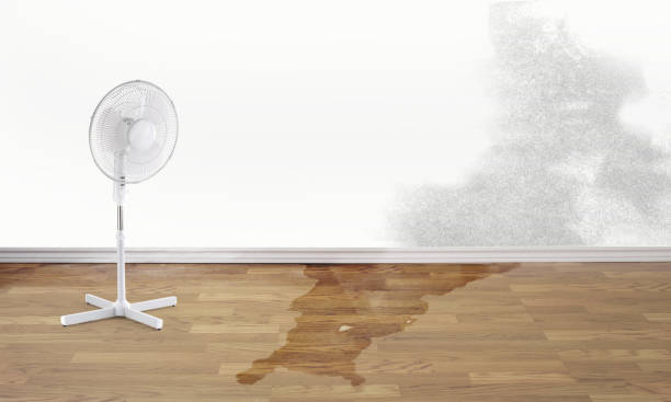 Trusted SD Water damage restoration Experts