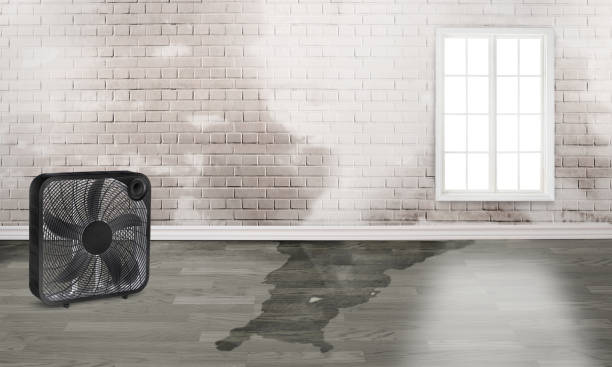 Best Fire Damage Restoration  in Hartford, SD