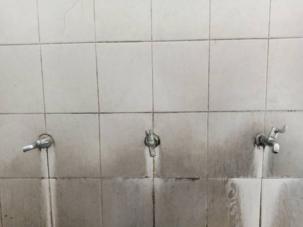 Best Water damage contractors near me  in Hartford, SD