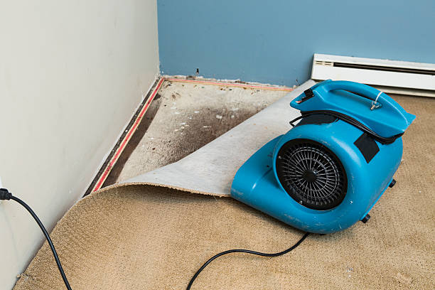 Sewage cleanup and water damage restoration in SD